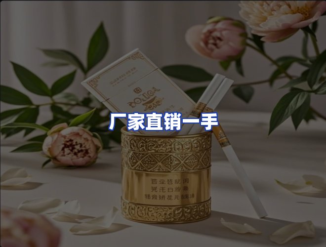 专业团队